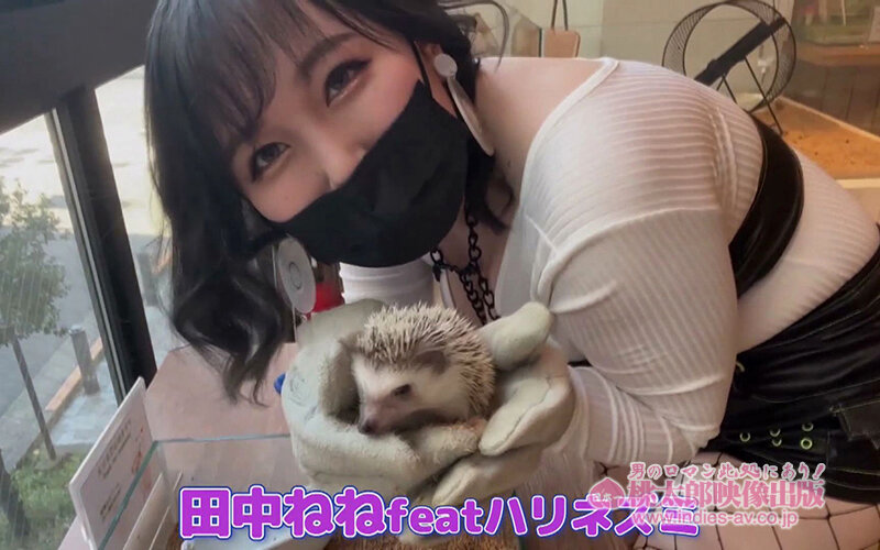 ヤリマンワゴンが行く！！ハプニング ア ゴーゴー！！田中ねねとリズの珍道中 国宝的Gカップ神乳爆震360度回転！！入れ食い逆ナンカーセックス