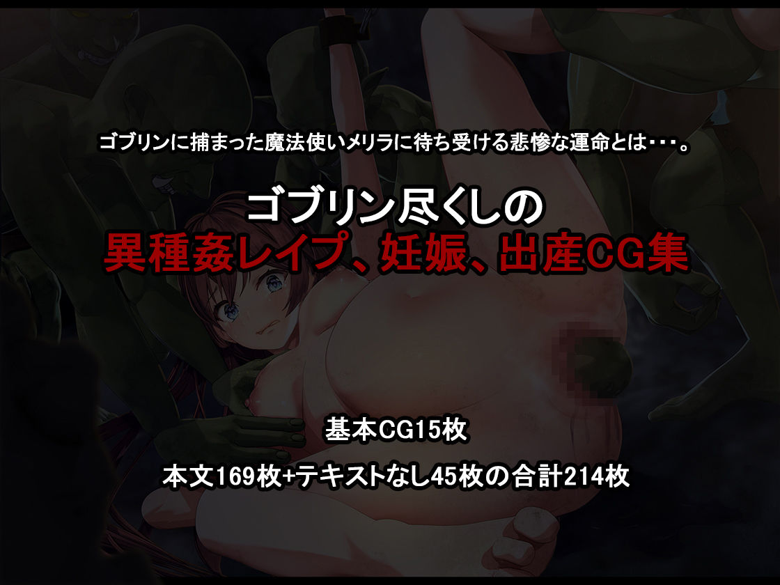 初心者魔法使いはゴブリン専用の孕み袋として