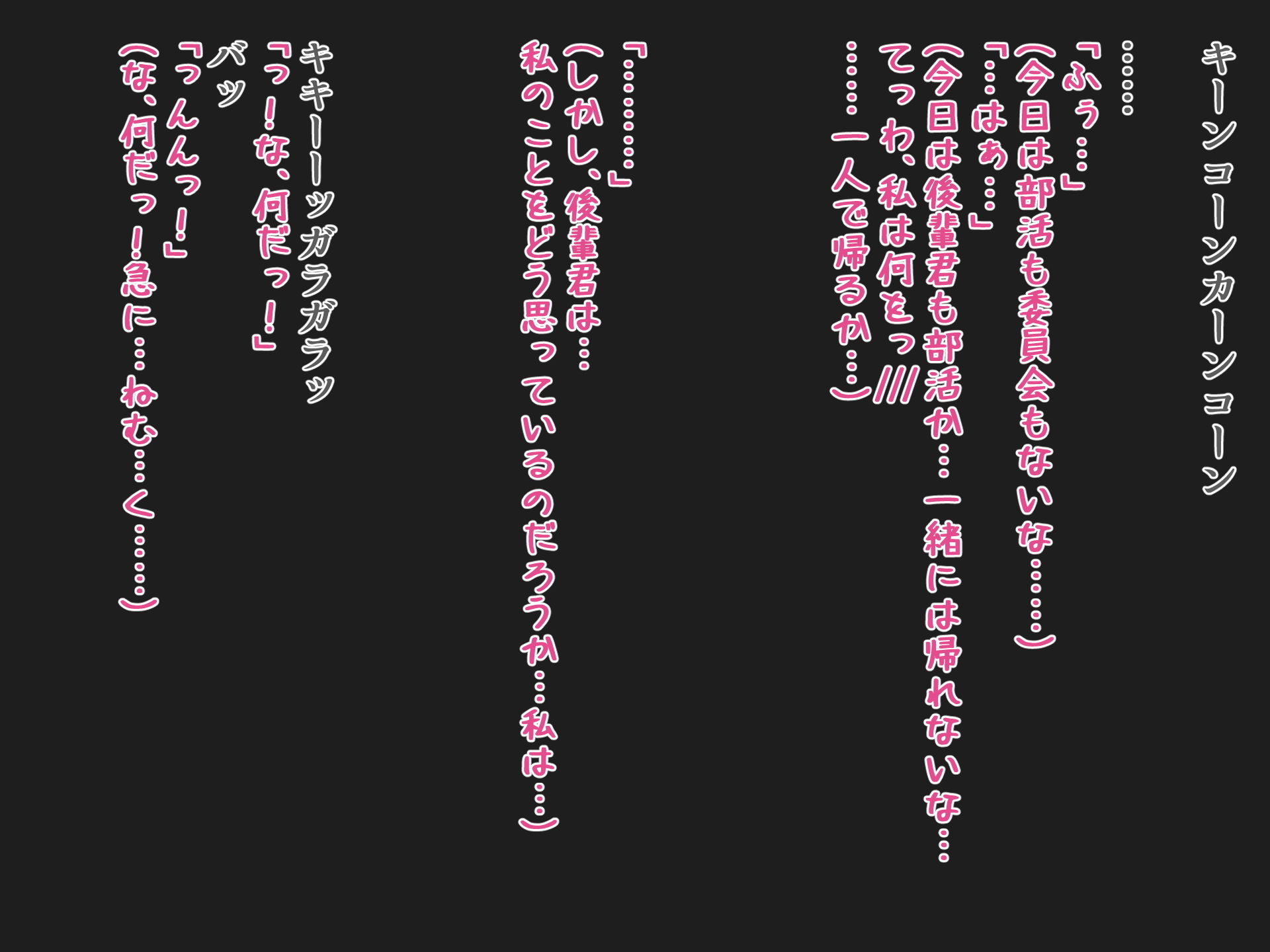 メス豚になった先輩〜犯●れた風紀委員長〜