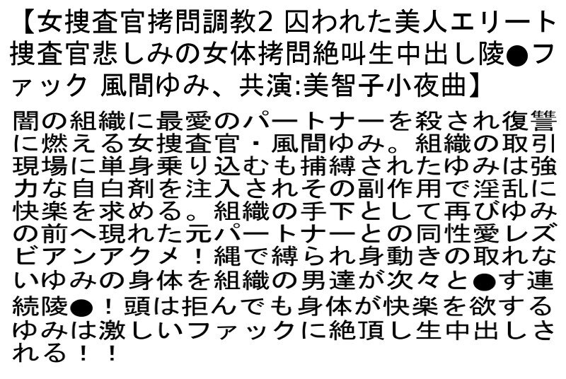 【お得セット】捜査官拷問調教2・女捜査官拷問調教5・女捜査官拷問調教7