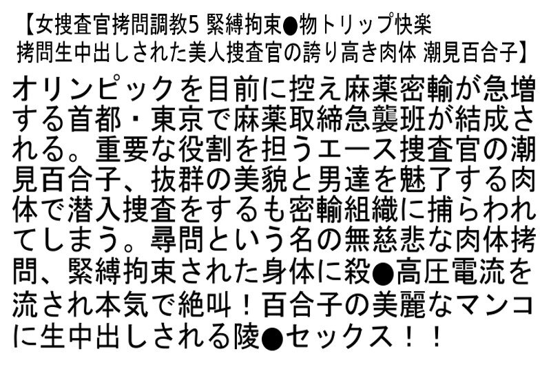 【お得セット】捜査官拷問調教2・女捜査官拷問調教5・女捜査官拷問調教7