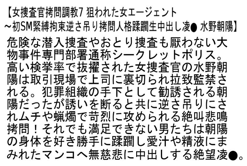 【お得セット】捜査官拷問調教2・女捜査官拷問調教5・女捜査官拷問調教7