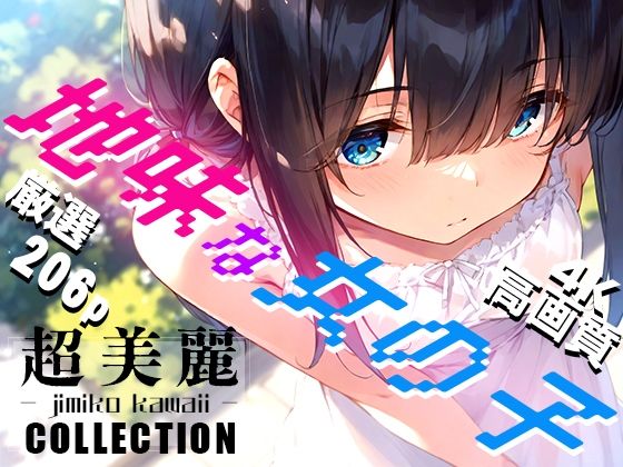 超美麗！地味な女の子コレクション vol1