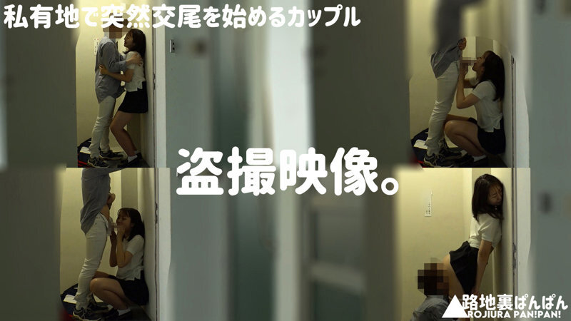 【流出映像】変態カップル 公然SEX盗撮 250分 屋外変態露出、愛撫、フェラ、腰振り交尾…これがアマチュアカップルの隠れSEXのリアル