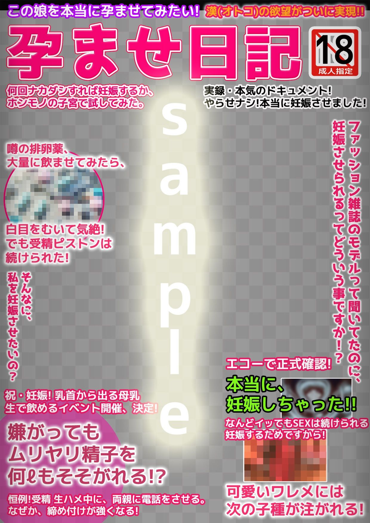 エロ本風パケコラ素材〜「孕ませ日記」