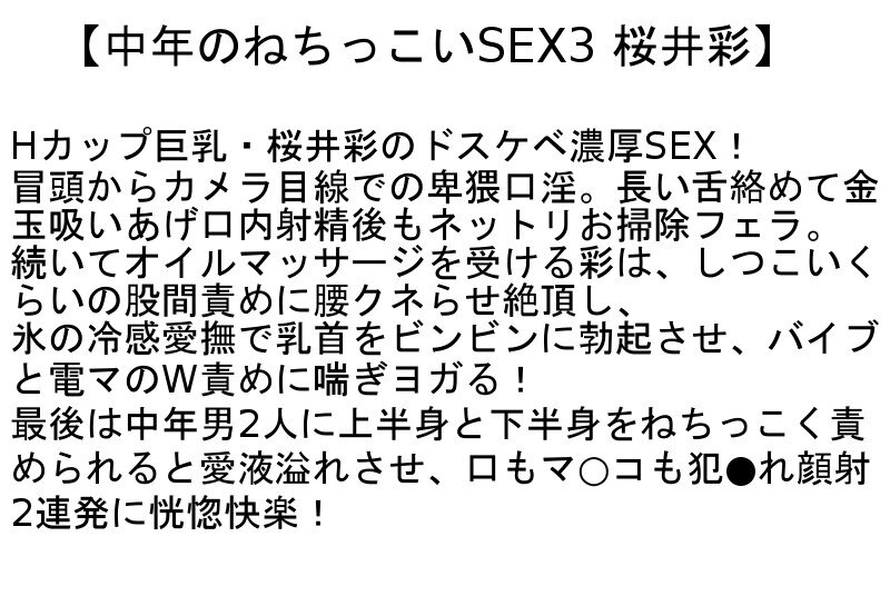 【お得セット】中年のねちっこいSEX3・中年のねちっこいSEX4・ねちっ濃いSEX