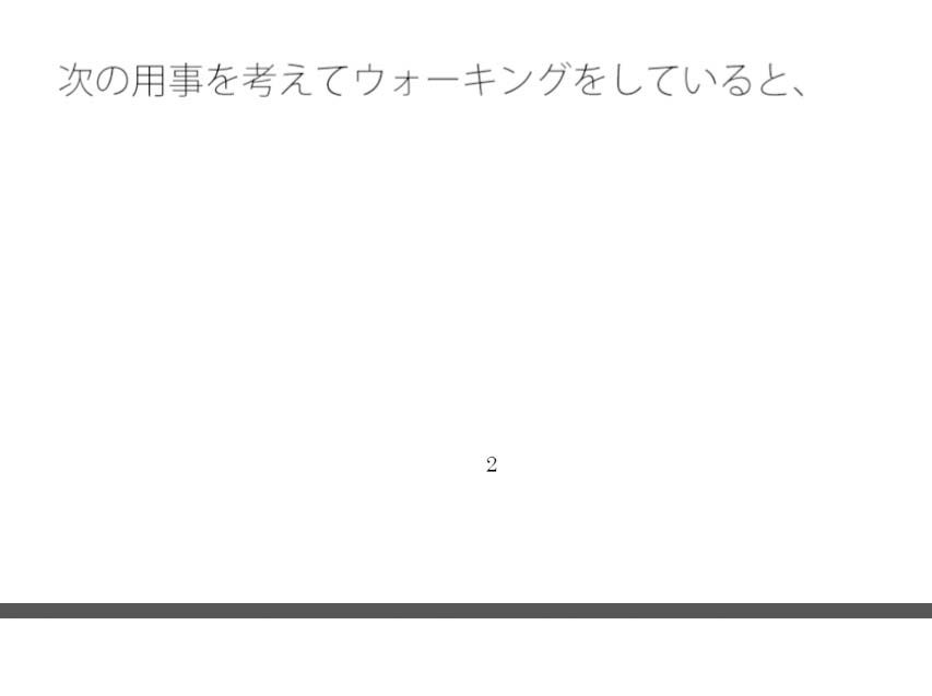 朝の路肩の小さな哺乳類とちょっと位置がズレた広場のベンチ